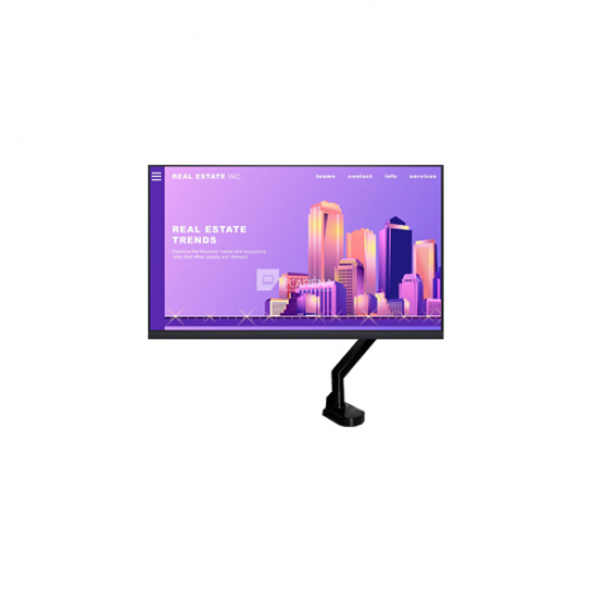 Dell P2422H (Egyedi fekete monitorkarral) talp nélkül
